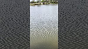 Боатман (Boatman eye ) эхолот для рыбалки !!!