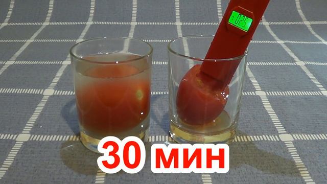 Эксперимент с понижением ОВП