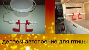 Авто Поилки для кур и цыплят своими руками .