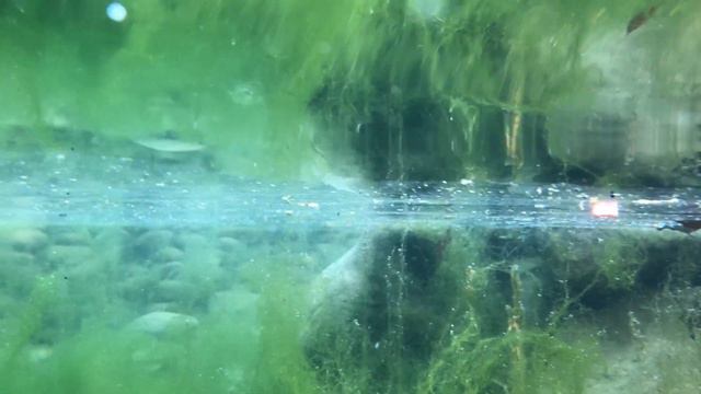 Фата-моргана акваріум-фонтан смотреть онлайн