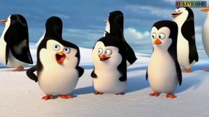 ПИНГВИНЫ МАДАГАСКАРА - |Rytp|