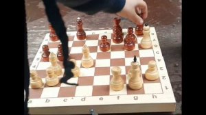 #1 Шахматные задачи