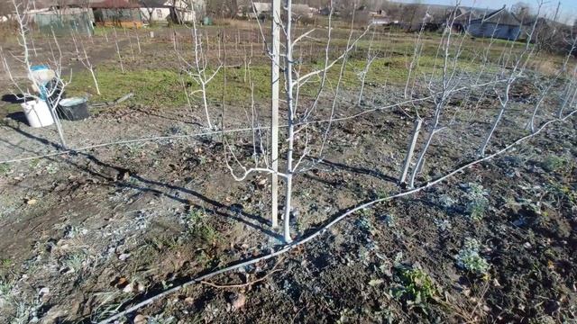 Осеняя обработка сада 2022г. Надёжная защита деревьев от болезней смотреть онлайн