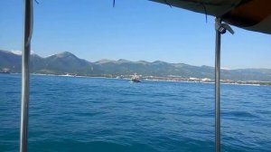 Кабардинка, Рыбалка и Дельфины в открытом море.