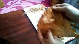 Переработка листов табака