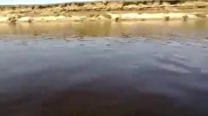 Мотор Sea Pro F5S на воде