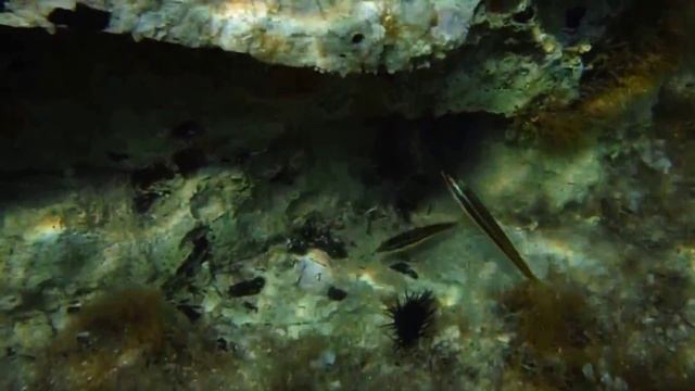 Meganissi4 смотреть онлайн