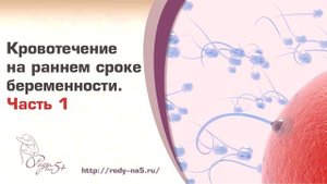 Кровотечения на ранних сроках беременности