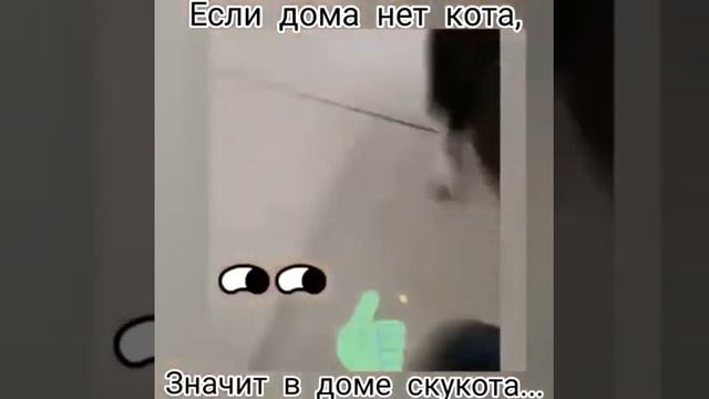 😂😂, ах ида ваё забываю сказать Нкзия любит Масима смотреть онлайн