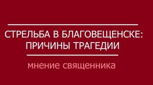 Стрельба в Благовещенске: причины трагедии