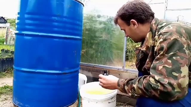 Зелёнка для томатов  и огурцов .   #папанадаче