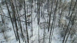 глюк квадрокоптер