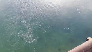 Худжанд, Ленинабад старый мост Сыр Дарья