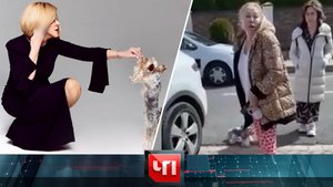 «ЧП»: 31 мая 2022 года | «Чрезвычайное происшествие» на НТВ