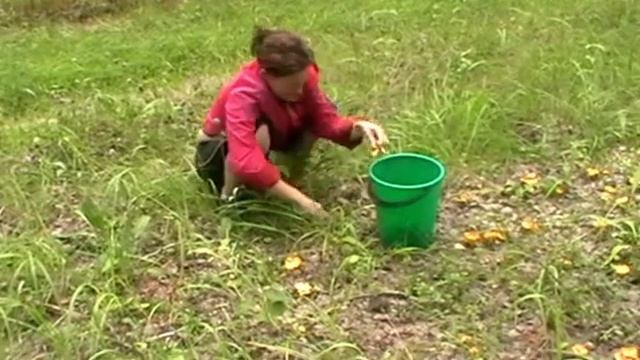 Моя малая Родина смотреть онлайн