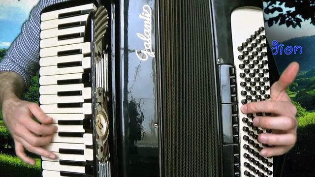 German folk music ACCORDION - Oberkrainer Polka смотреть онлайн