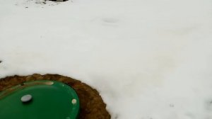 Альта Био 7. Пол года после установки. часть 2