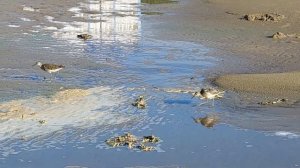 Санаторий Санта