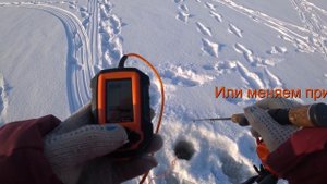 Как делать проводку при ловле не активного судака.