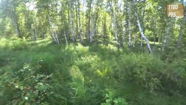 Как заработать в городе с помощью собирания чермет! Метало коп в каменных джунглях! смотреть онлайн