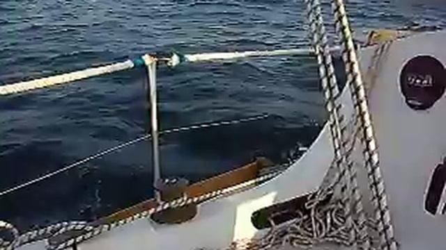 Черное море, бакштаг, Любава под парусами смотреть онлайн