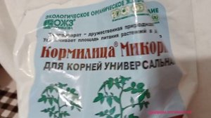 КАК РАЗМНОЖИТЬ ФИКУС, У МЕНЯ ПОЛУЧИЛОСЬ #фикус #Дневникоптимистки