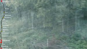 Карелия из окна поезда. Кондопога-Петрозаводск-Свирь. Стук колес. Russia train sound. Karelia Natur