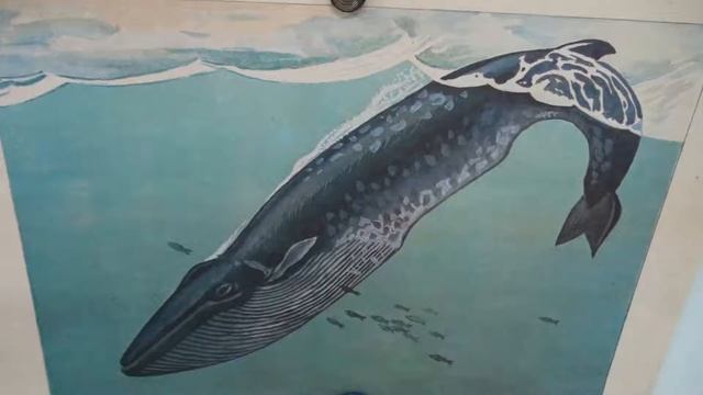 урок математики "Морское путешествие" смотреть онлайн