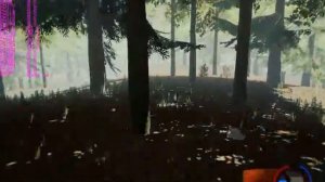 playing the forest on my gaming server ultra low preset (no audio)