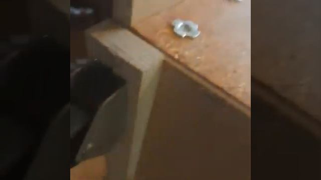 Диван зараженный клопами - уничтожение насекомых в Москве смотреть онлайн