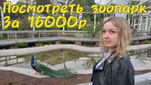 МОСКОВСКИЙ ЗООПАРК _ СТОИТ ЛИ ИДТИ?