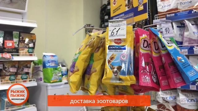 О зоомагазинах Рыжик Пыжик в Ульяновске смотреть онлайн