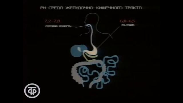 Совместимость Продуктов | Система Питания По Неумывакину