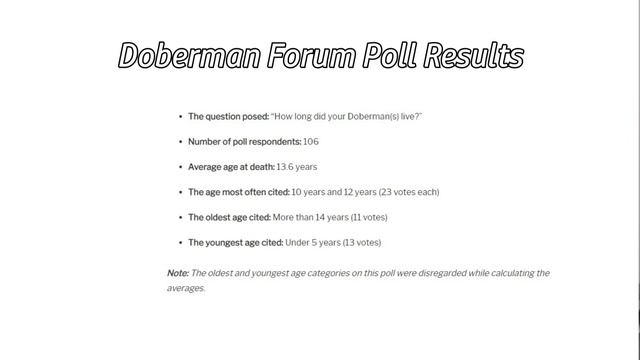 The ACTUAL Lifespan of a Doberman: The New Normal? смотреть онлайн