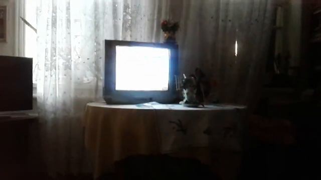 Смотреть нельзя,услышать можно,"Орбита ",наша пасека,Анатолий Иванович и мамочка дают интервью! смотреть онлайн