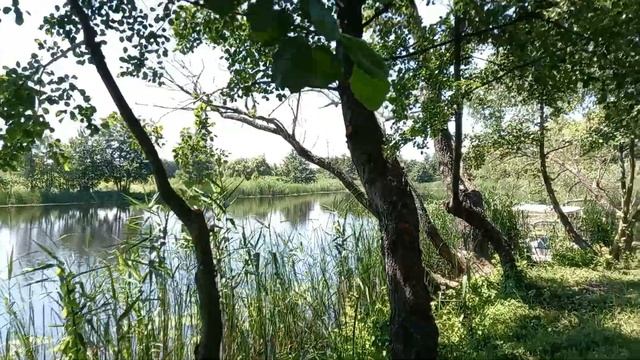 Кемпинговый городок в Каменке, Сумская область, Тростянец