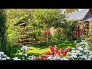 Дача 6 соток в октябре Посадила чеснок Обрезаю цветы Колпак на трубе прогорел  Трубогиб с Шарлоткой