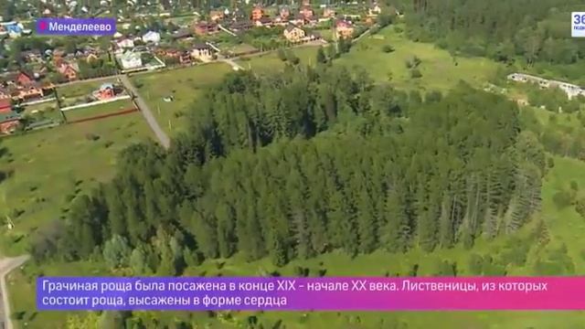 Менделеево