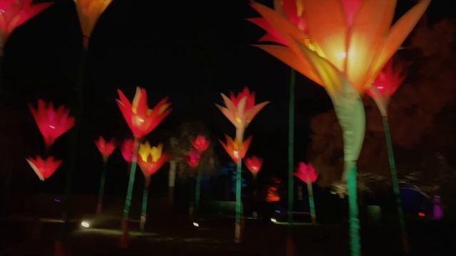 Lightscape at the L.A. Arboretum // Arcadia, CA смотреть онлайн