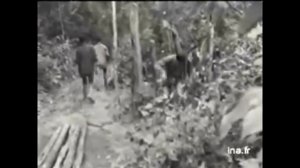 # 28 Кино для диктатуры крестьянства. "Красные кхмеры" - садисты-коммунисты-утописты. Эпизод28.