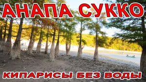 КИПАРИСОВОЕ ОЗЕРО БЕЗ ВОДЫ! ЛУЧШЕЕ МЕСТО ДЛЯ ПРОГУЛОК В АНАПЕ и СУККО