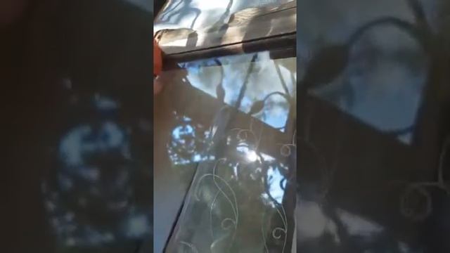 Greenway. Очень грязное окно моем за 2 минуты смотреть онлайн