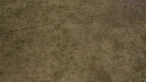 Сестрорецкое болото