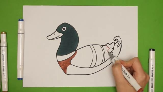 Как нарисовать мультяшного селезня кряквы маркерами. Рисование шаг за шагом для детей смотреть онлайн