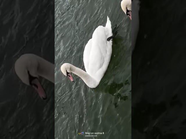 3 февраля 2023 г. смотреть онлайн