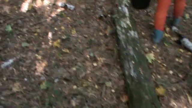 За опятами 19,09,17 / Behind the mashes смотреть онлайн