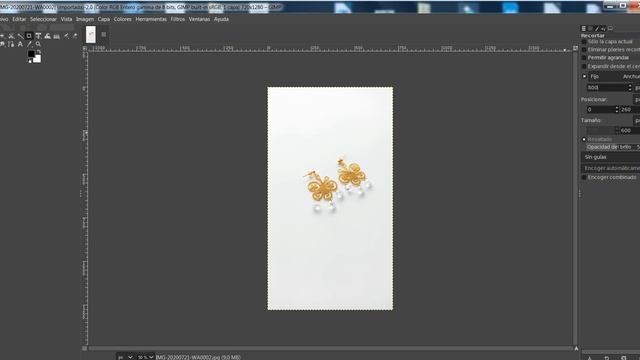 Recortar imagen tamaño fijo con GIMP смотреть онлайн