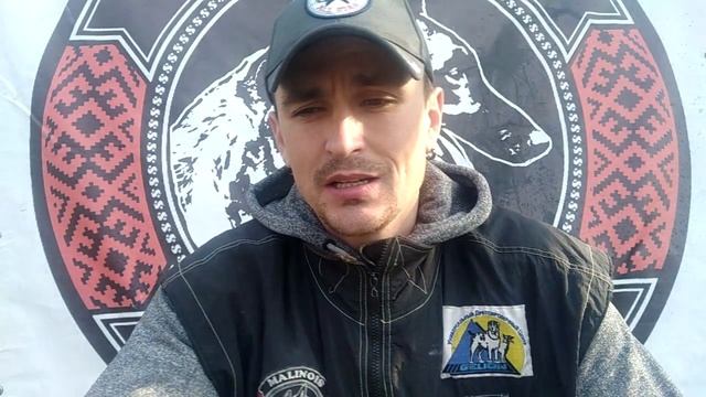 274. С какого возраста учить собаку охране? Как и когда начать обучать собаку защите смотреть онлайн