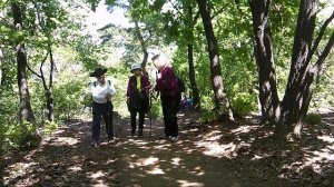 поход на гору