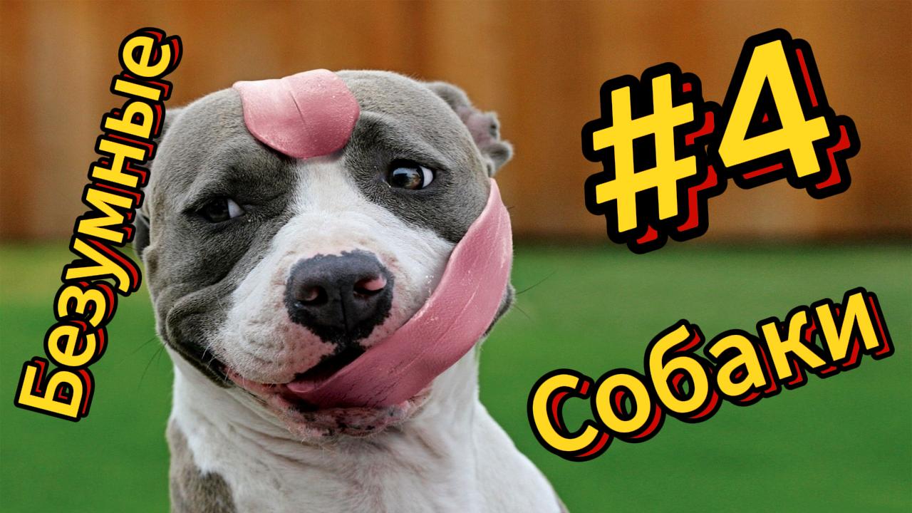 ДО СЛЁЗ ? 5 Минут ОТБОРНЫХ фейлов и приколов | Смешные видео - Лучшие ПРИКОЛЫ 4